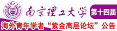 干美女美女南京理工大学第十四届海外青年学者紫金论坛诚邀海内外英才！